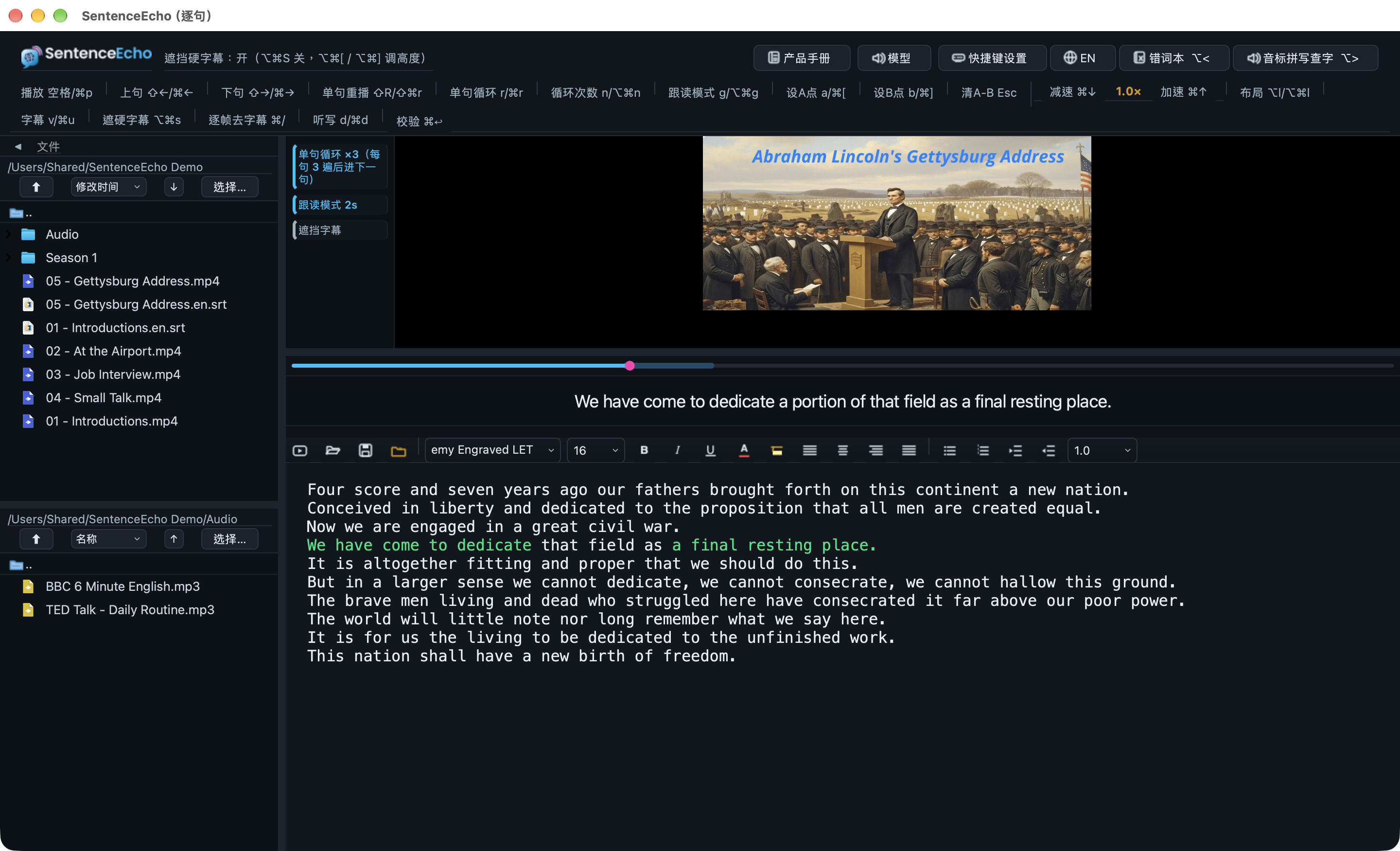 SentenceEcho 主界面：上方播放与字幕，下方 Word 式文稿